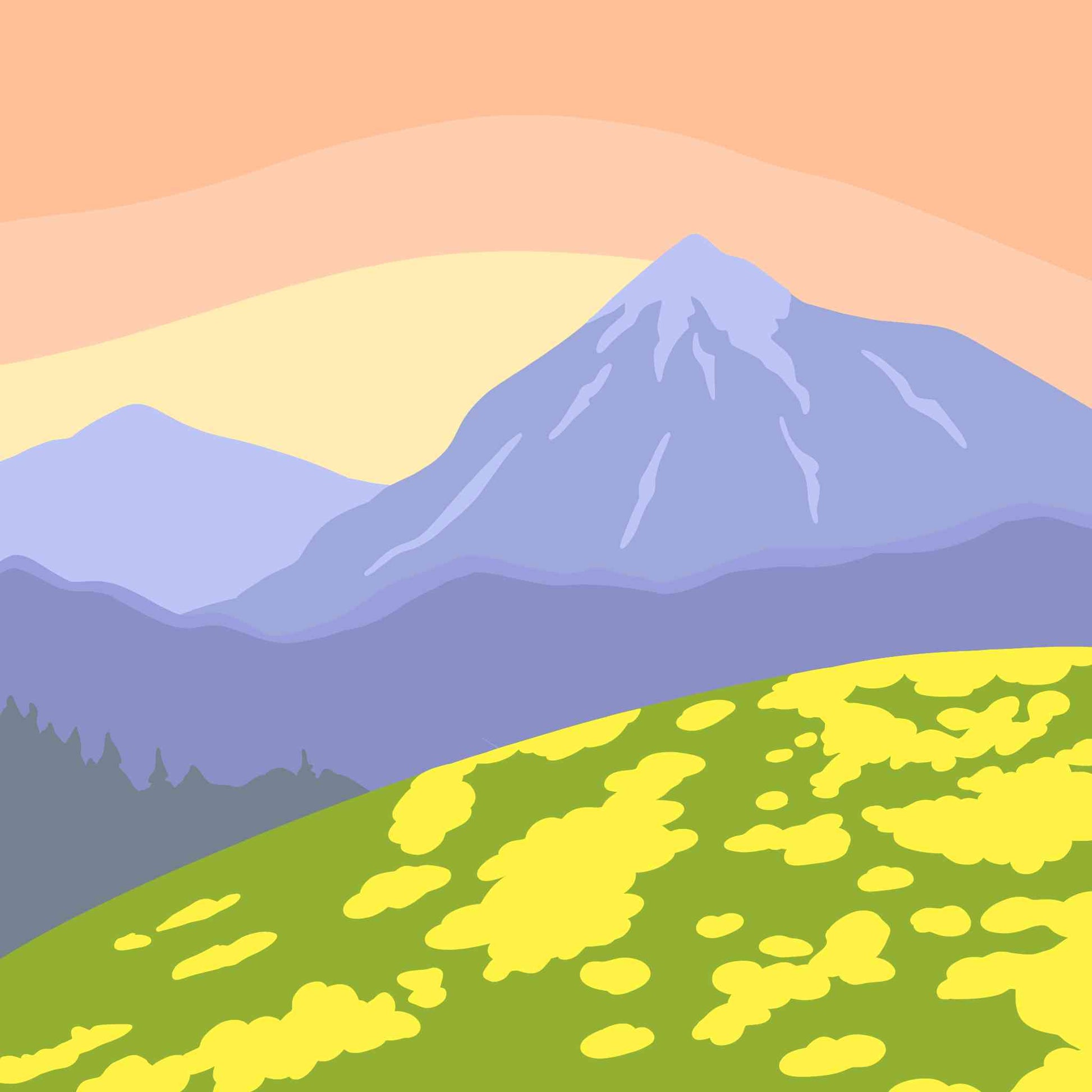 Spring Mountain View