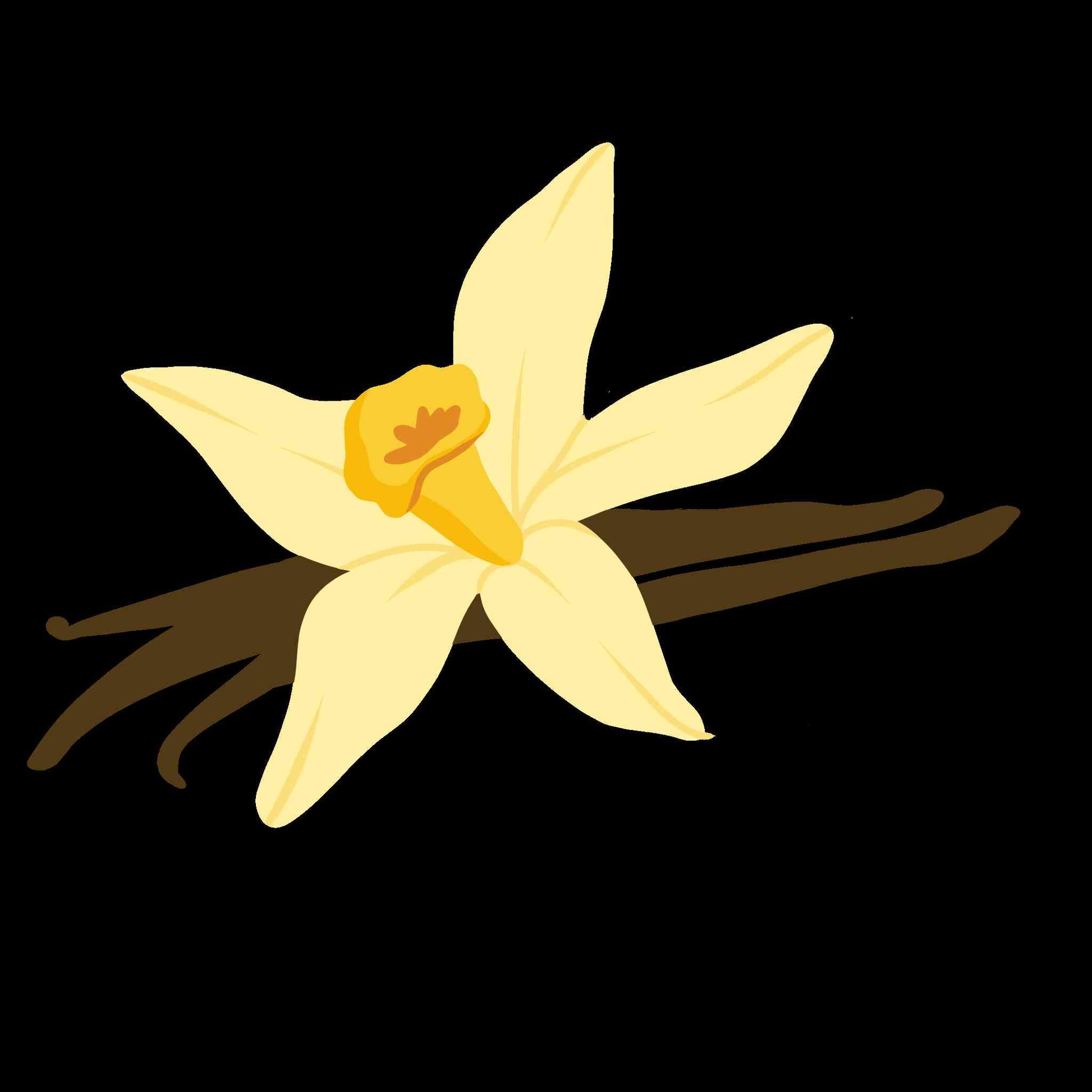 Vanilla Flower