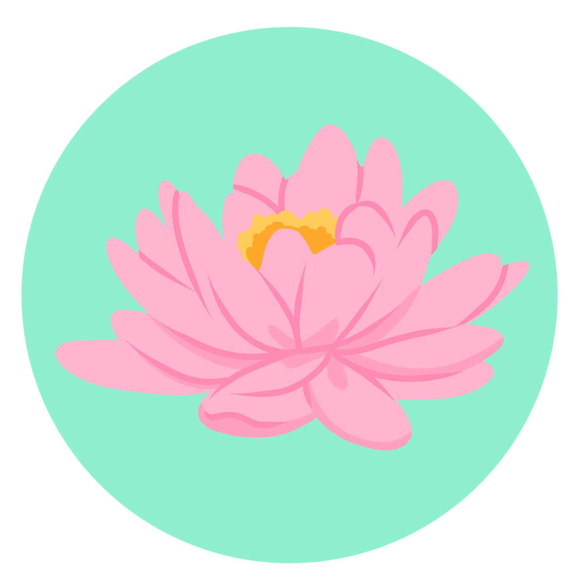 National Flower - India - Pink Lotus Flower