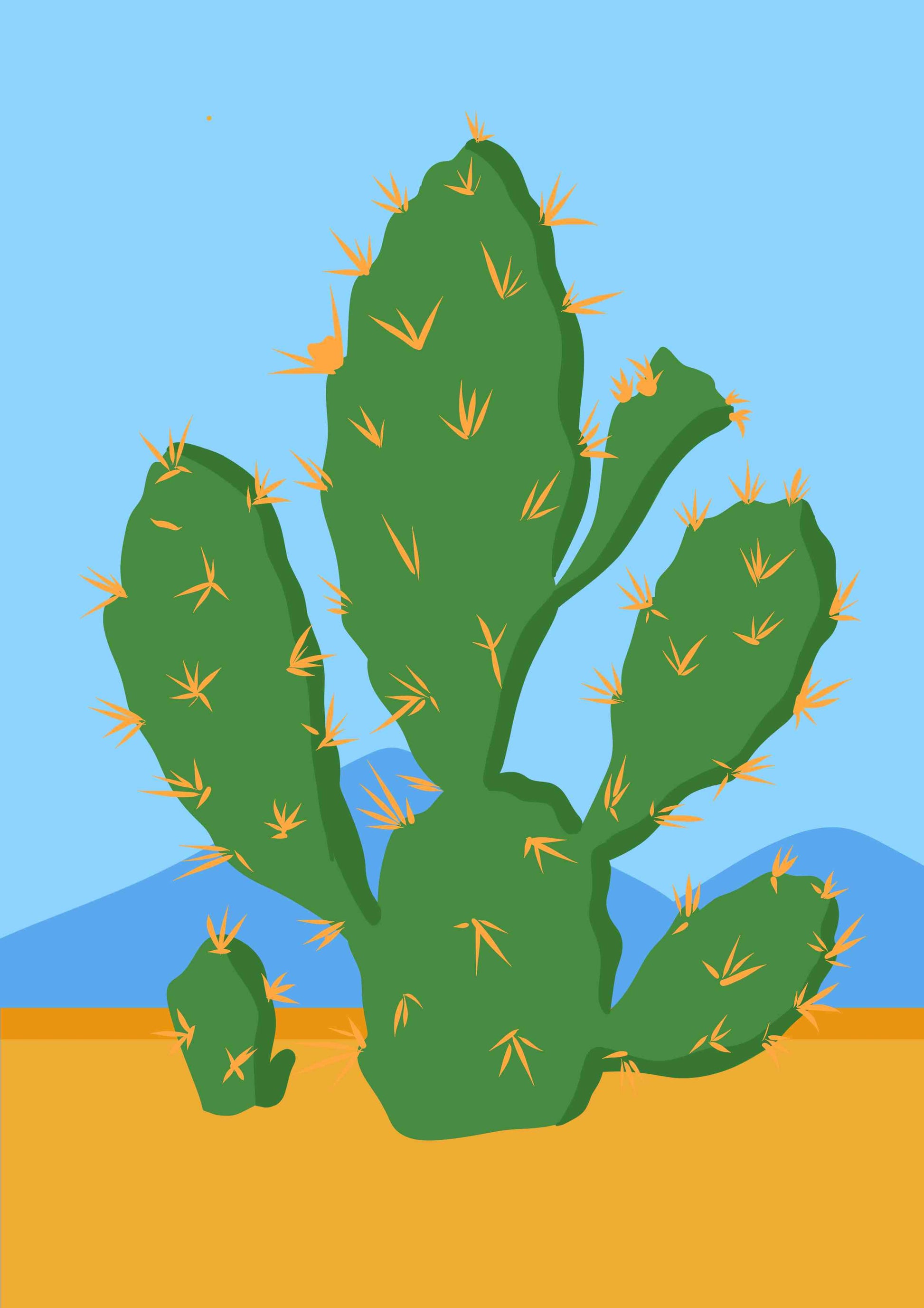 Cactus in the desert