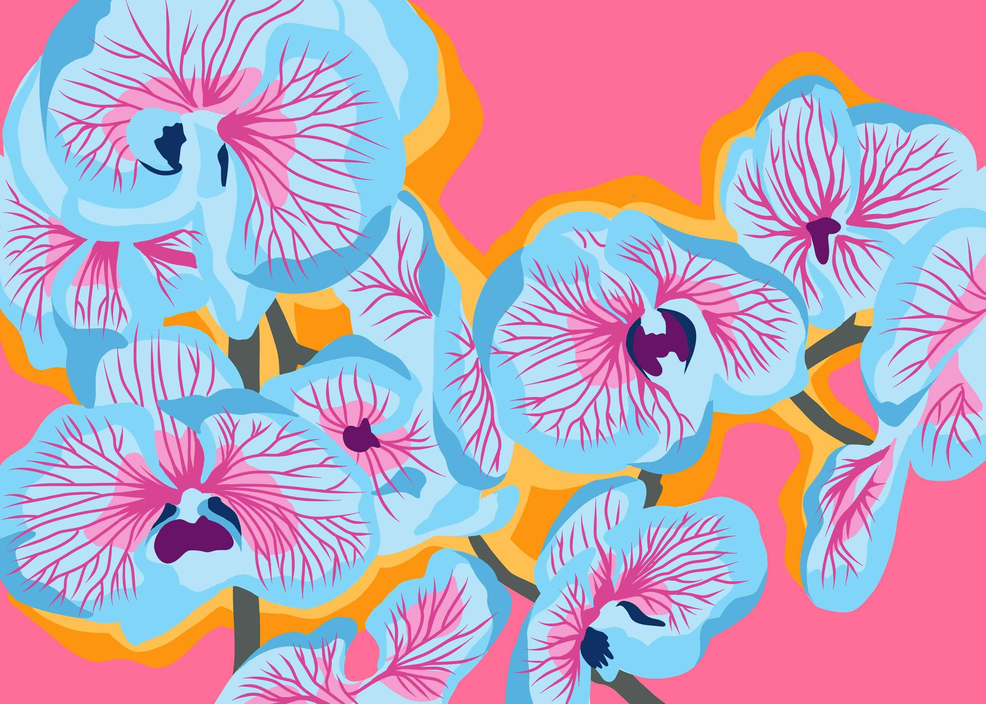 Sky Blue and Pink Orchid