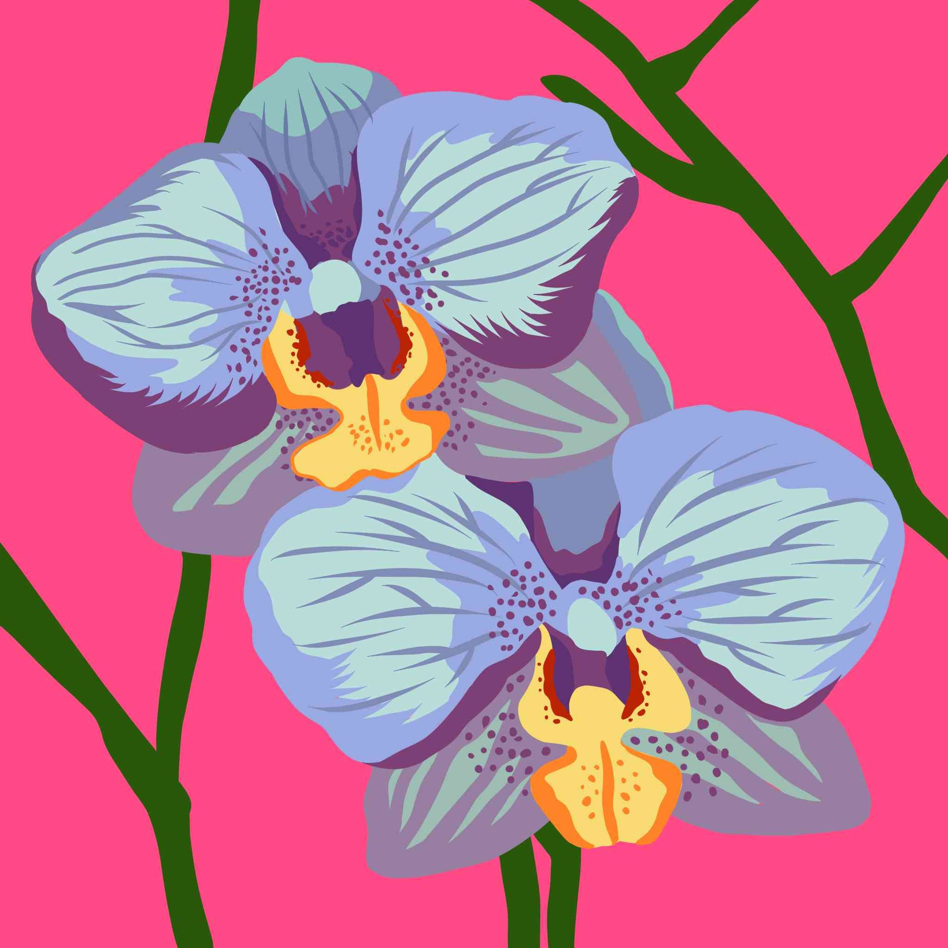 Lavender Orchid Flowers