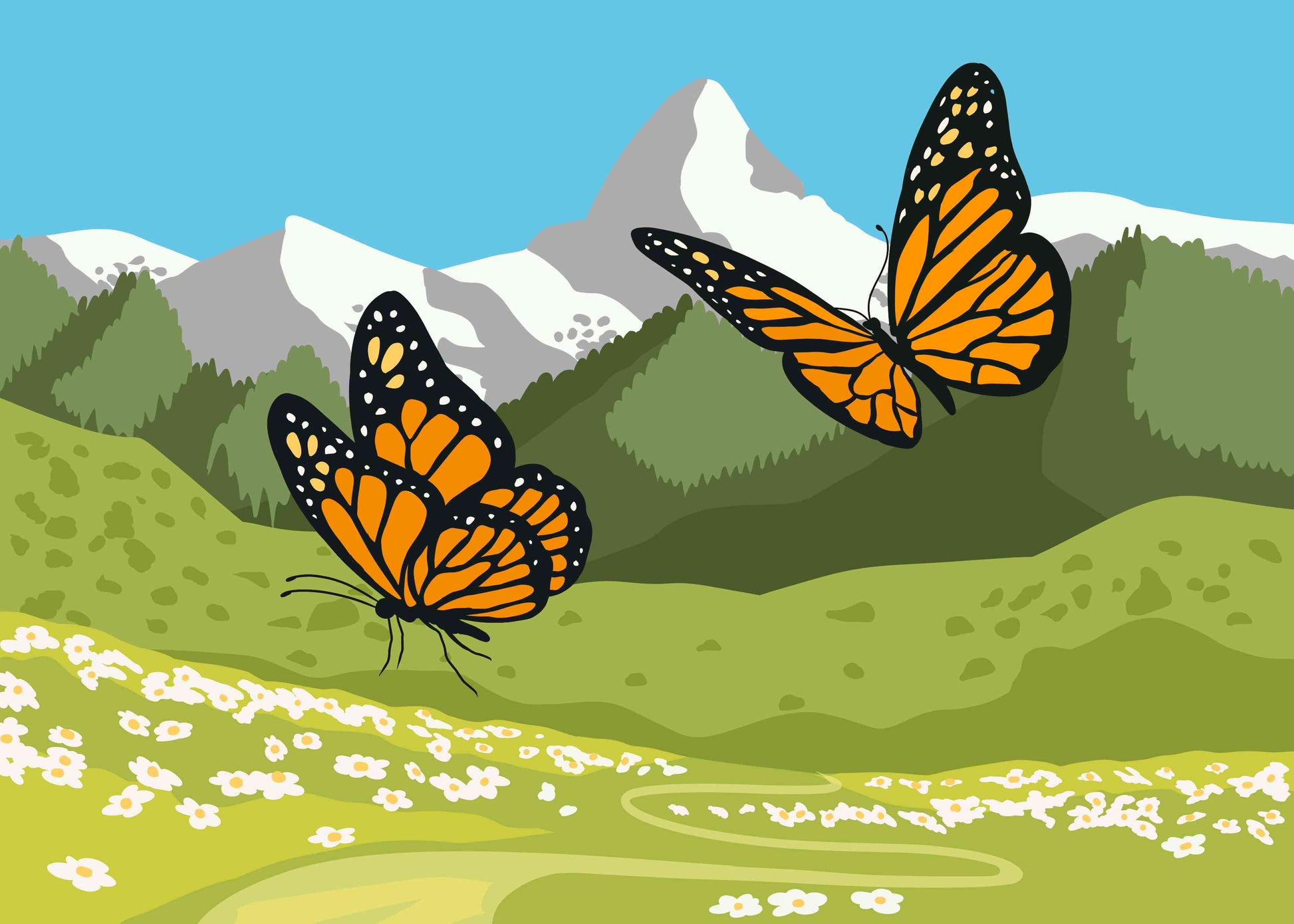 Butterflies in the field