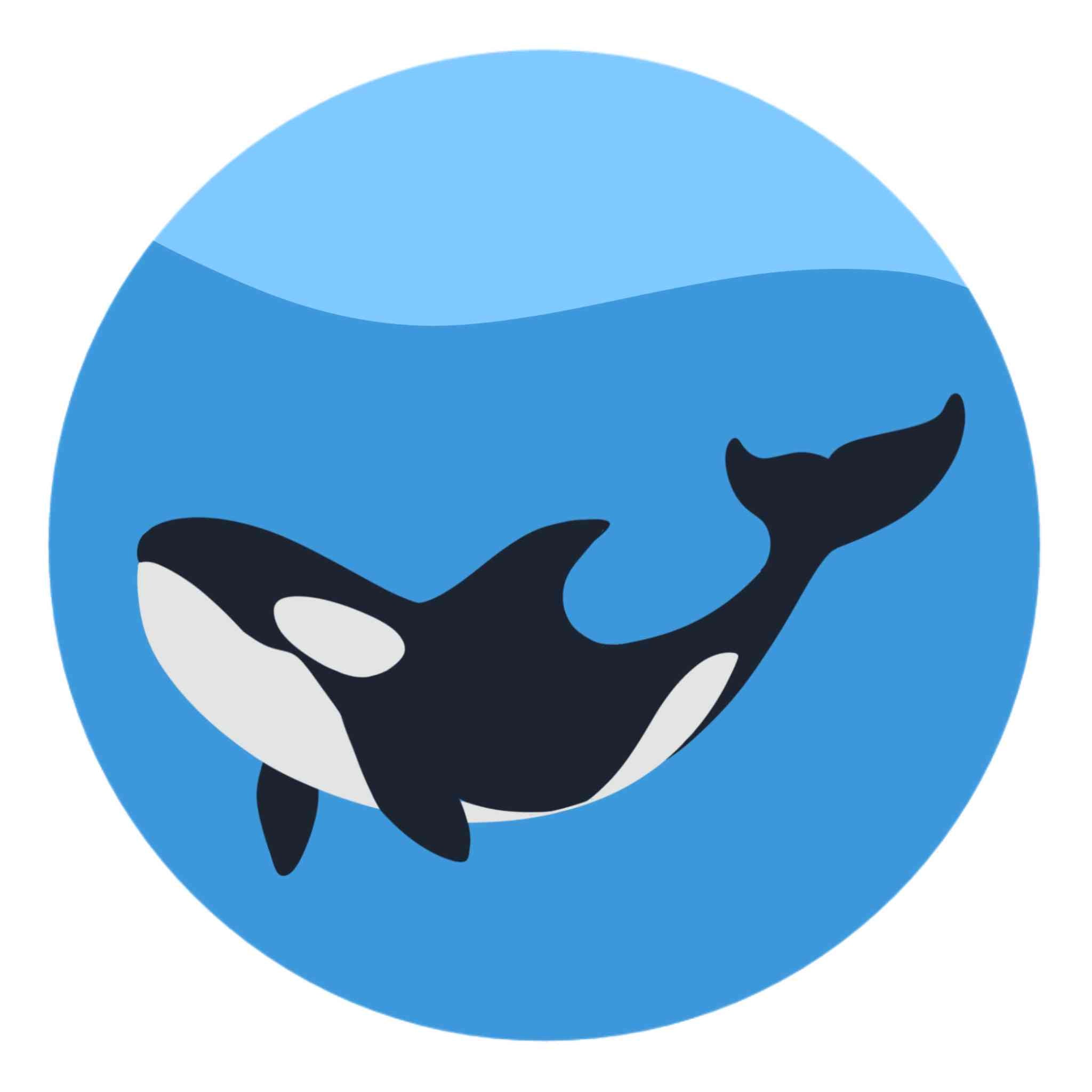 Orca – The Needlepointer