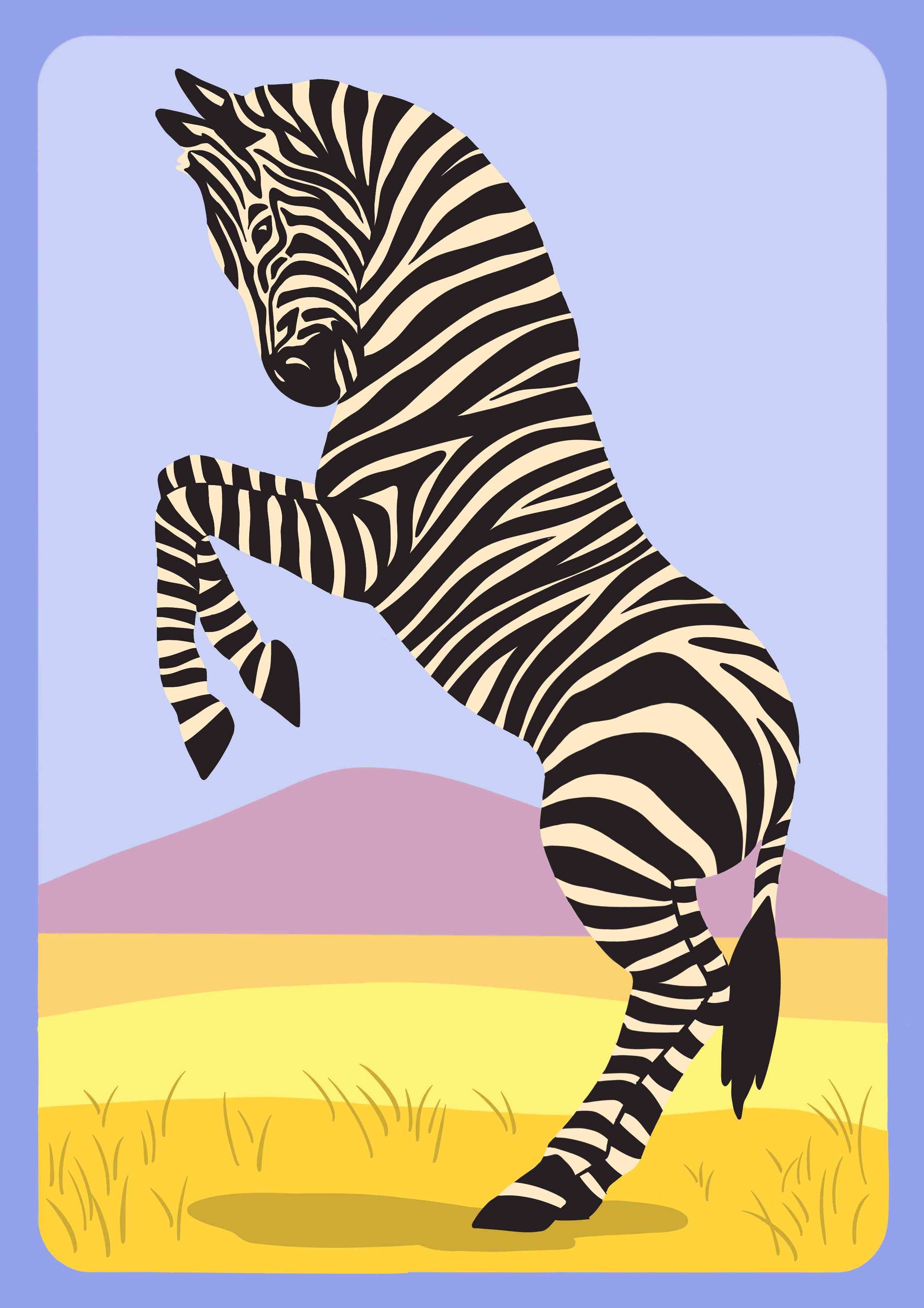 Zebra