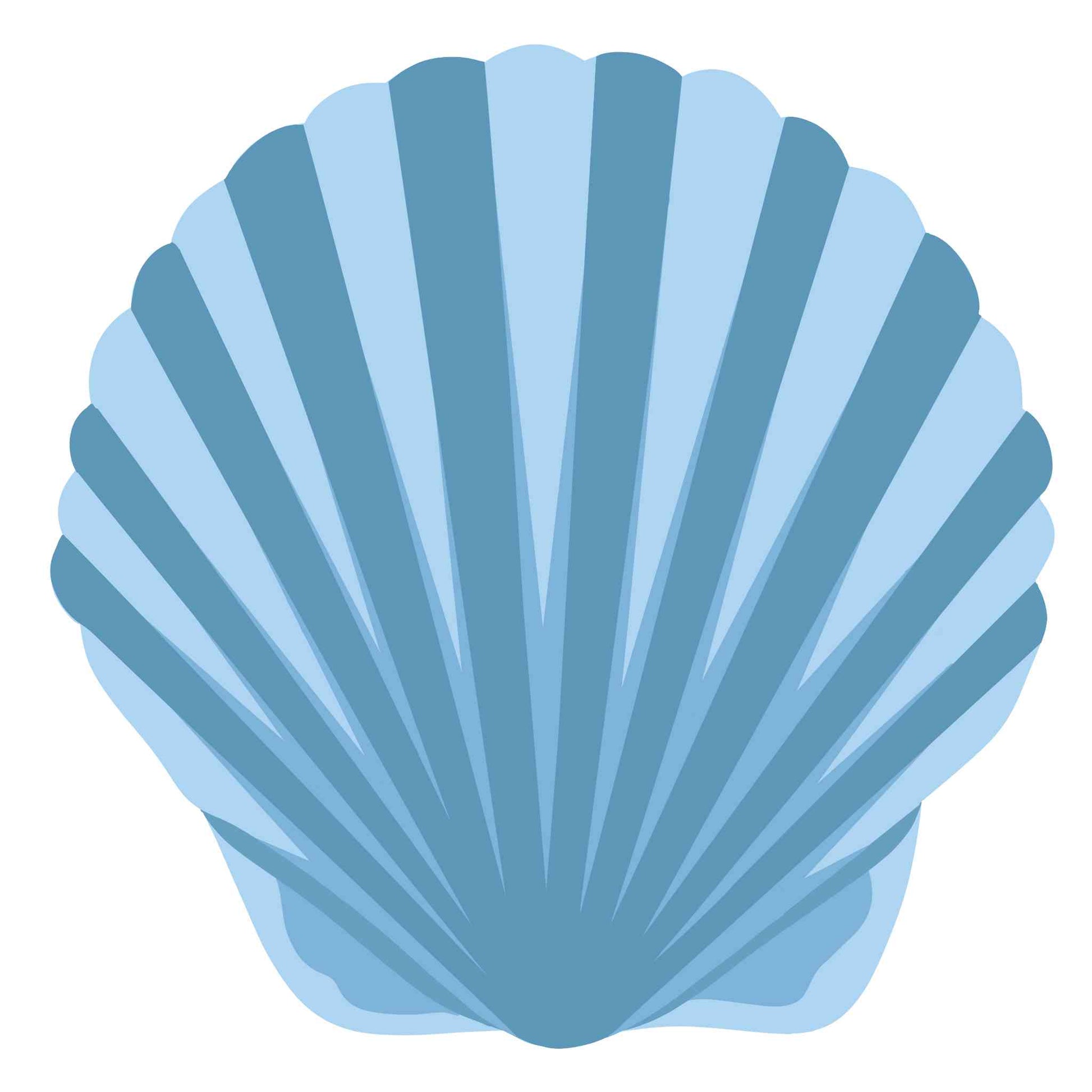 Blue Seashell