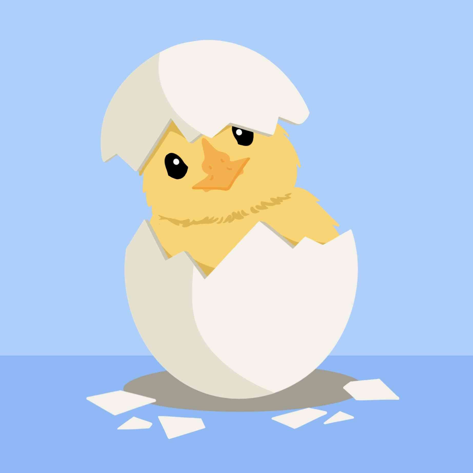 A Chick on its Eggshell