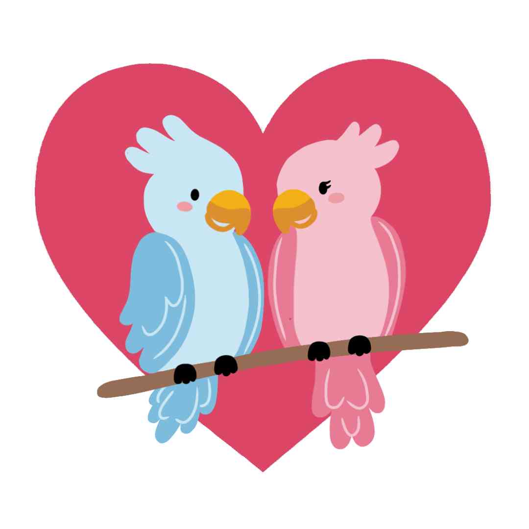 Valentine's - Love Birds