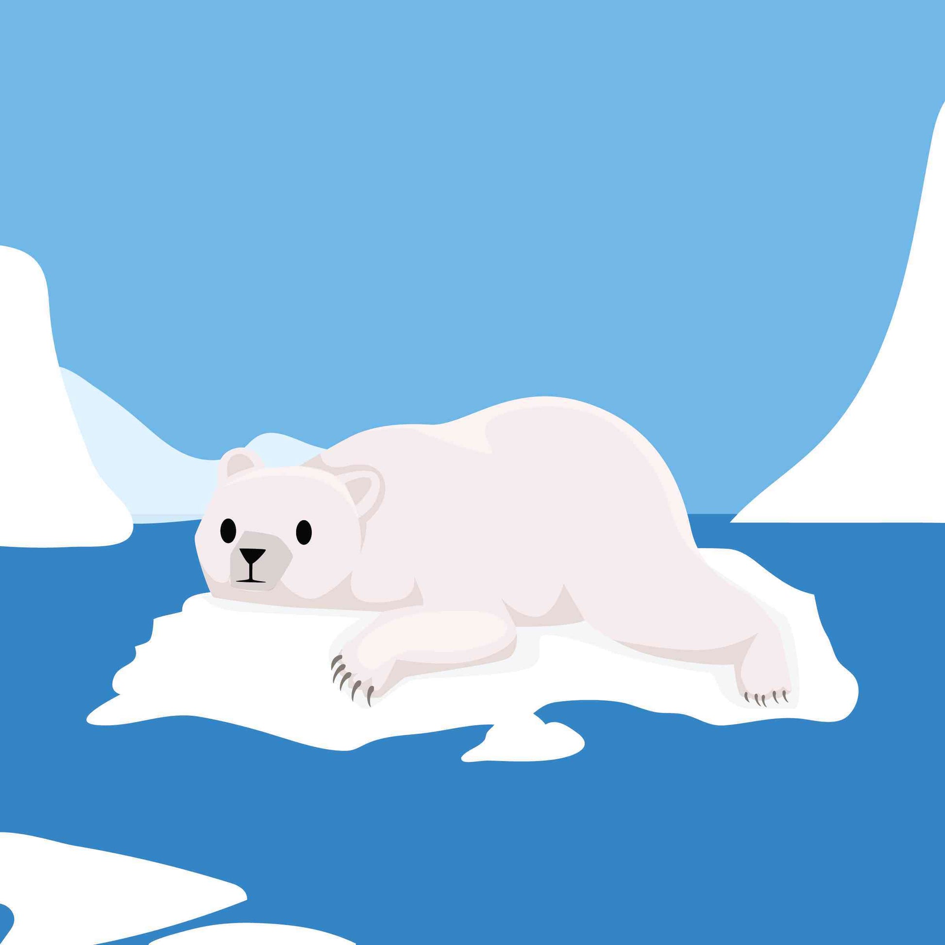 The Polar Bear