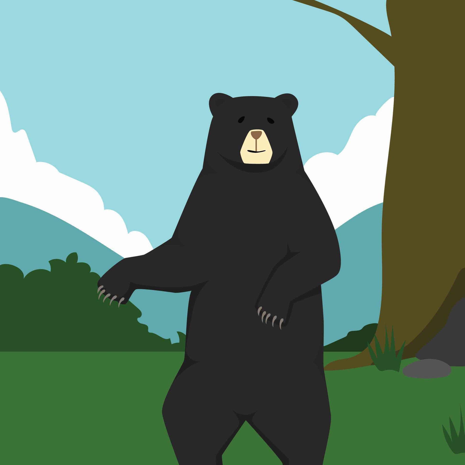 The Asian Black Bear