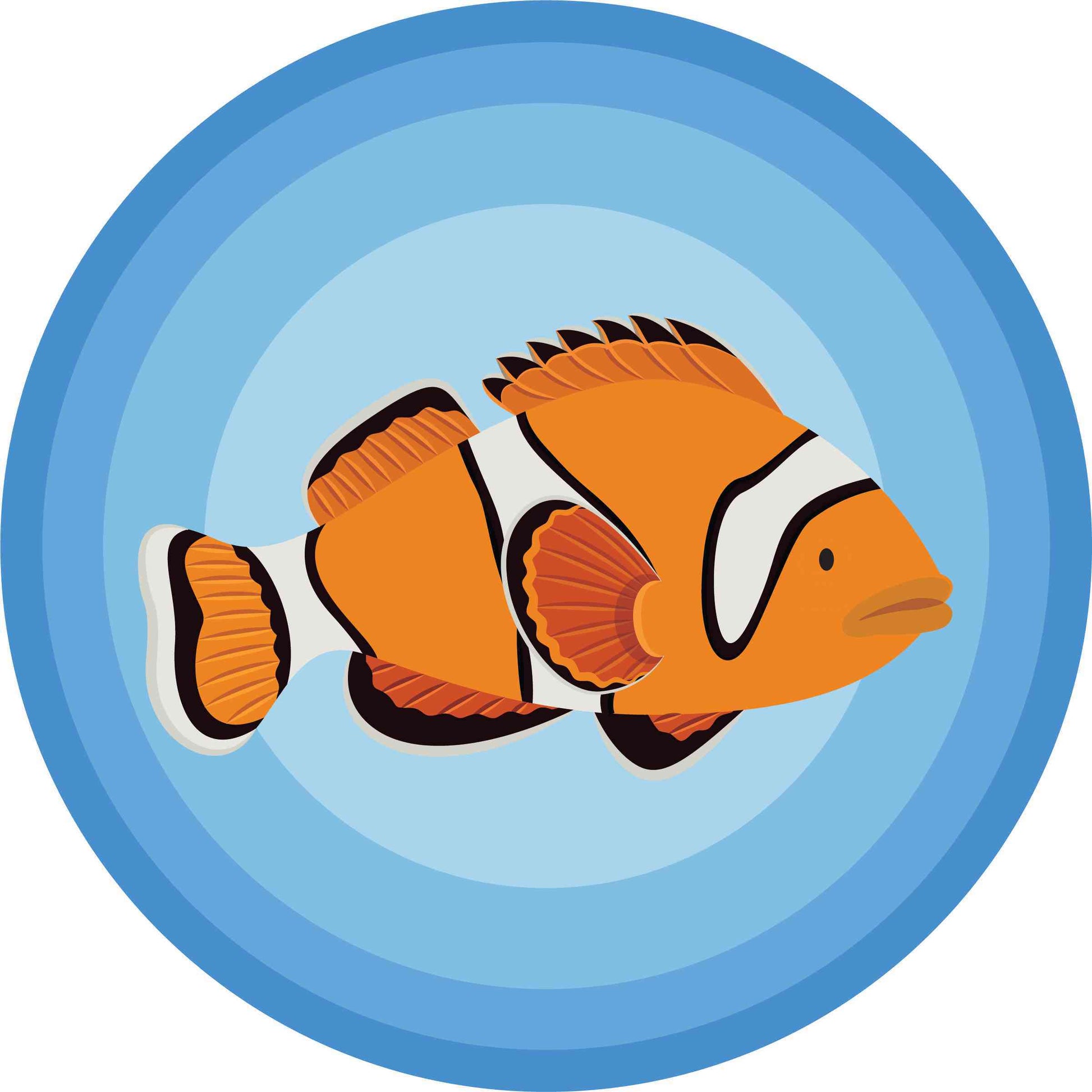 Sea Animals-Clown Fish