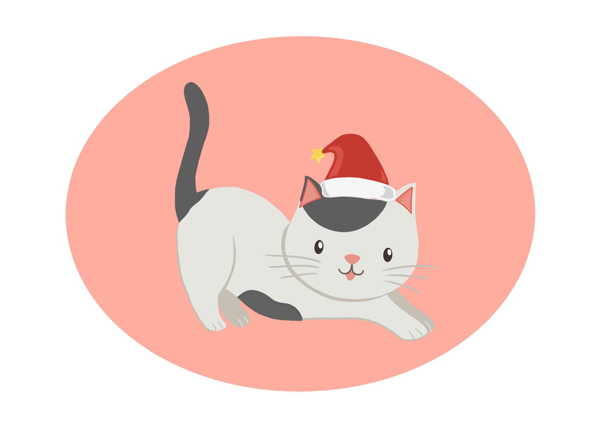 Cat with Christmas Hat