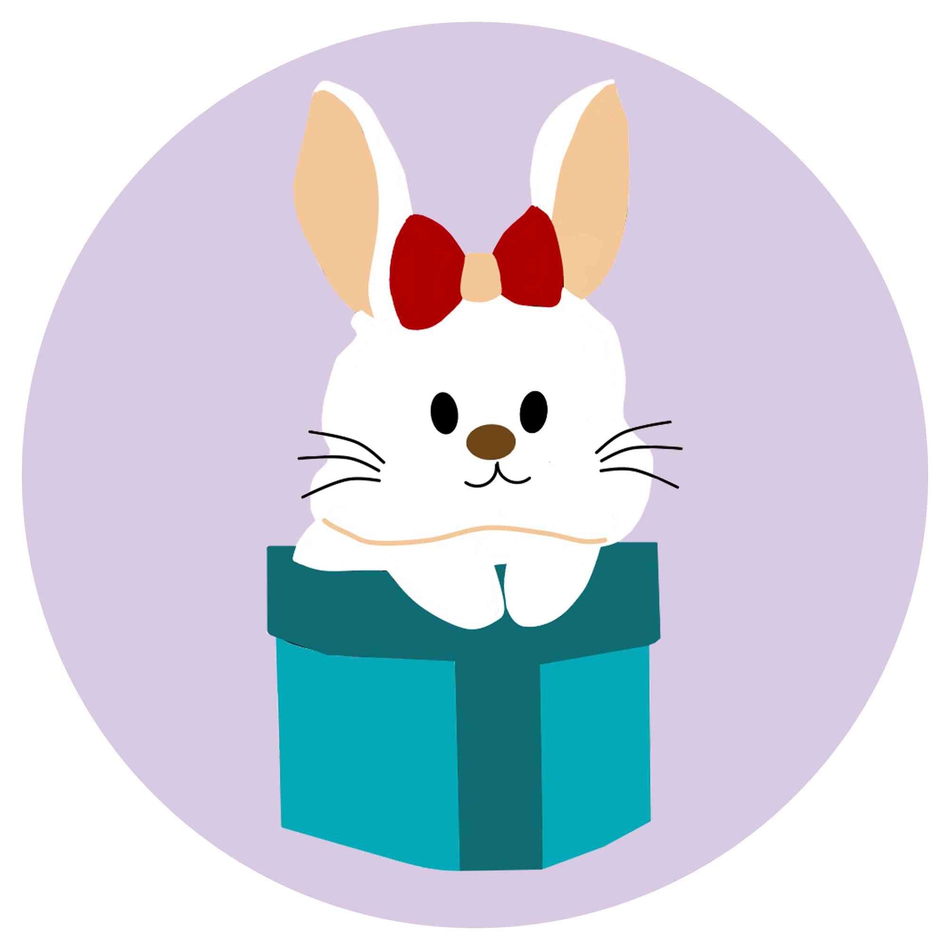 Christmas - Rabbit in A Pocket