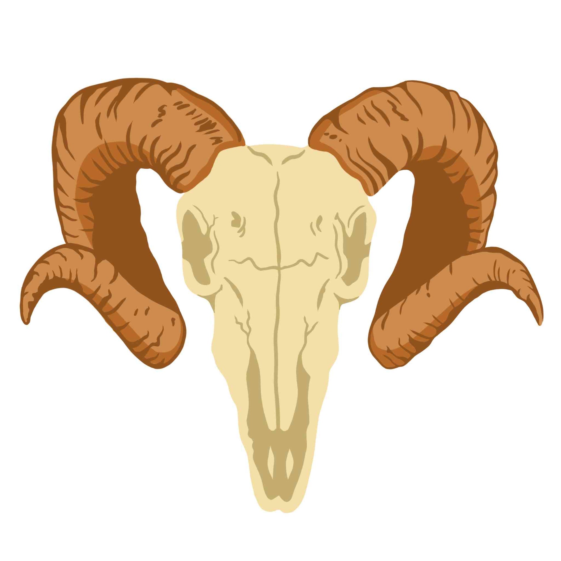 Bighorn Sheep's Bone