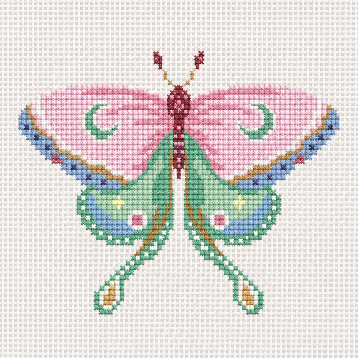 Pink Green Butterfly