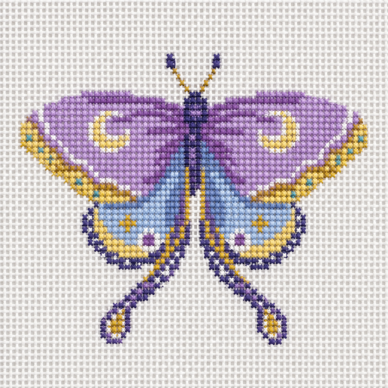 Purple Blue Butterfly