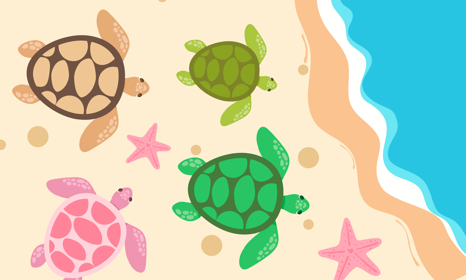 Turtle Squad’s Beach Fiesta: Colorful Shells and Starfish by the Shore