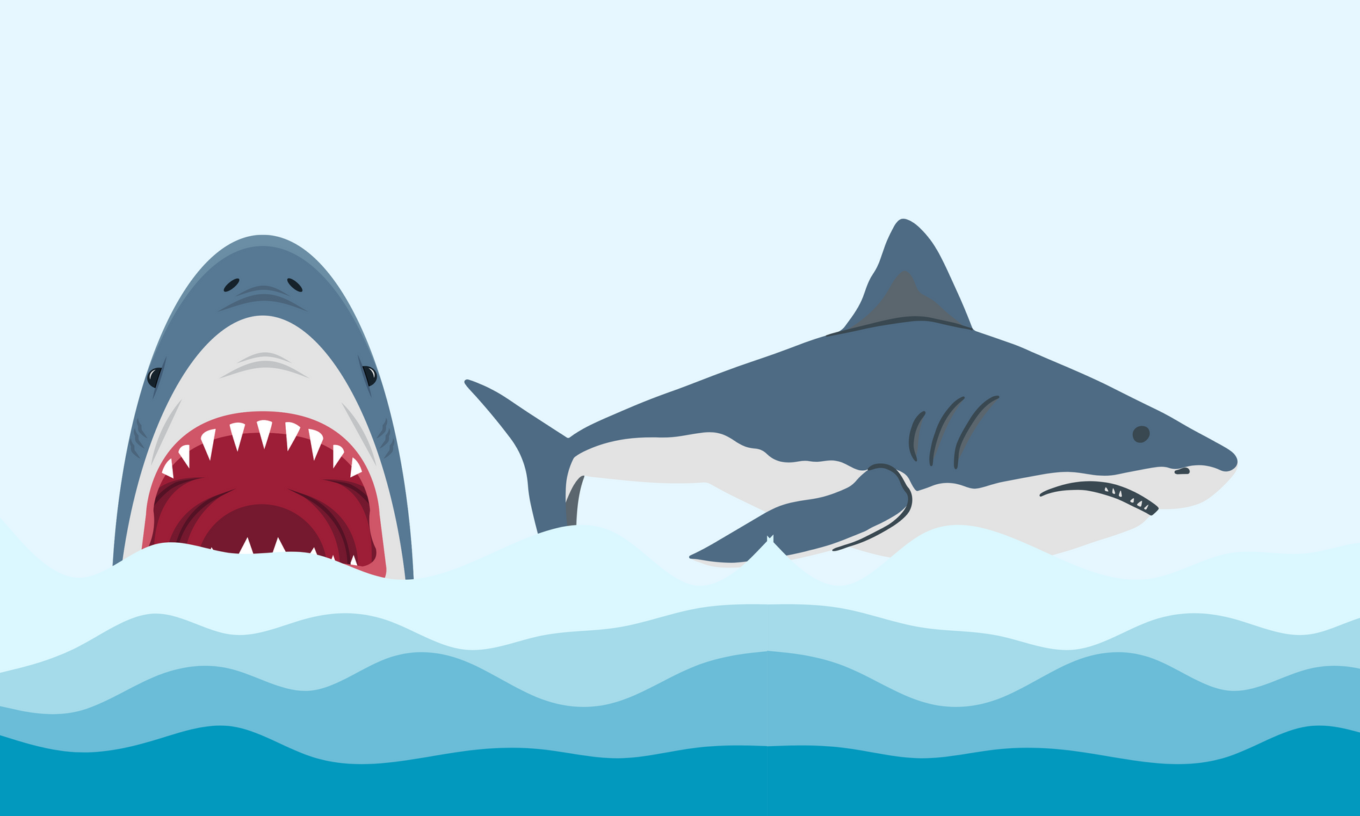Sharks in the Ocean