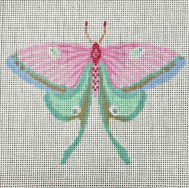 Pink Blue Butterfly