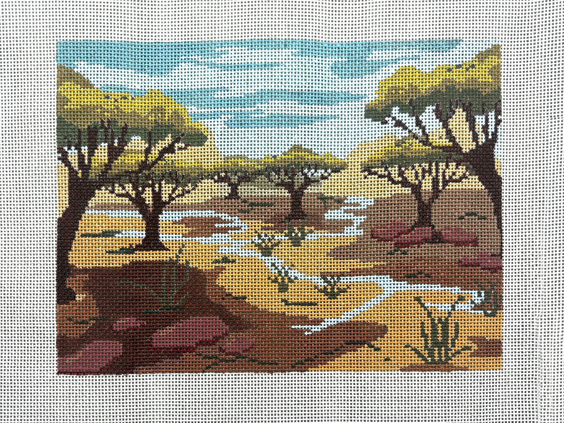 Savanna - Africa