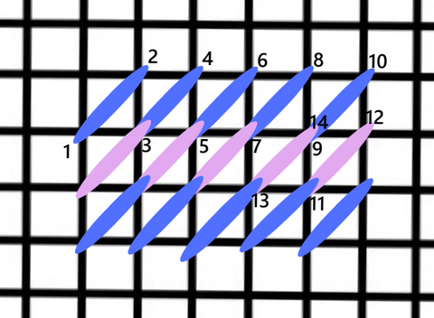 Split slanted gobelin stitch diagram