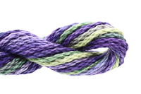 295 - Black Iris