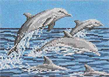 Frolicking Dolphins - 13 CT