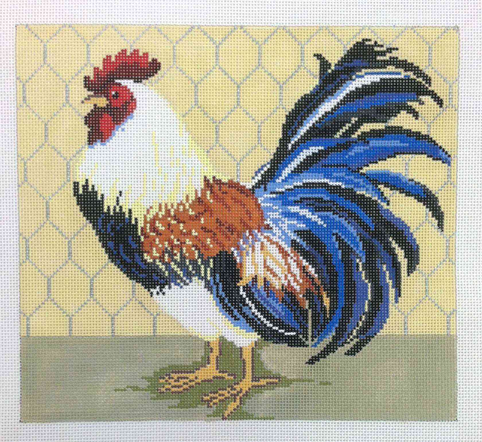 Rooster - Blue Tail