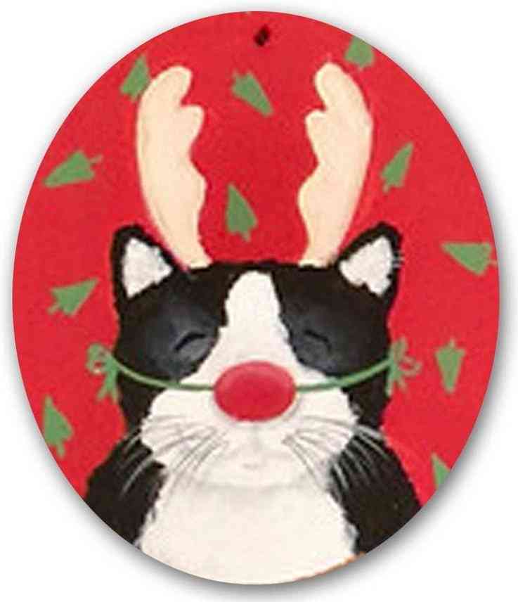 Cat with Red Nose