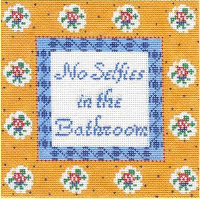 No Selfies in the Bathroom