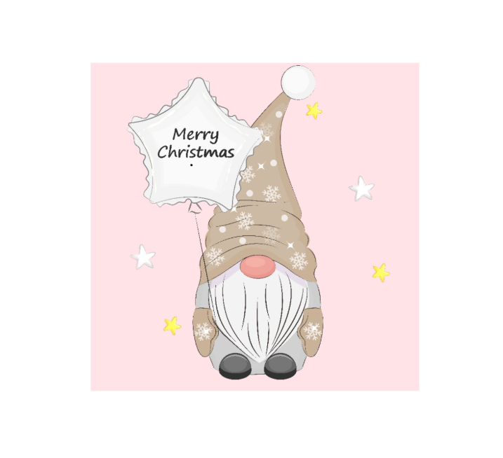 Gnome - Brown Hat