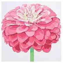 Simple Flowers - Pink Zinnia - Large