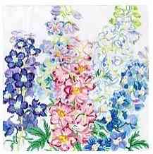 Summer Delphinium