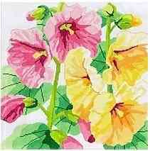 Summer Hollyhocks