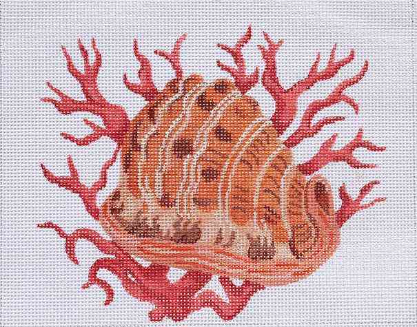 Helmet Shell with Coral