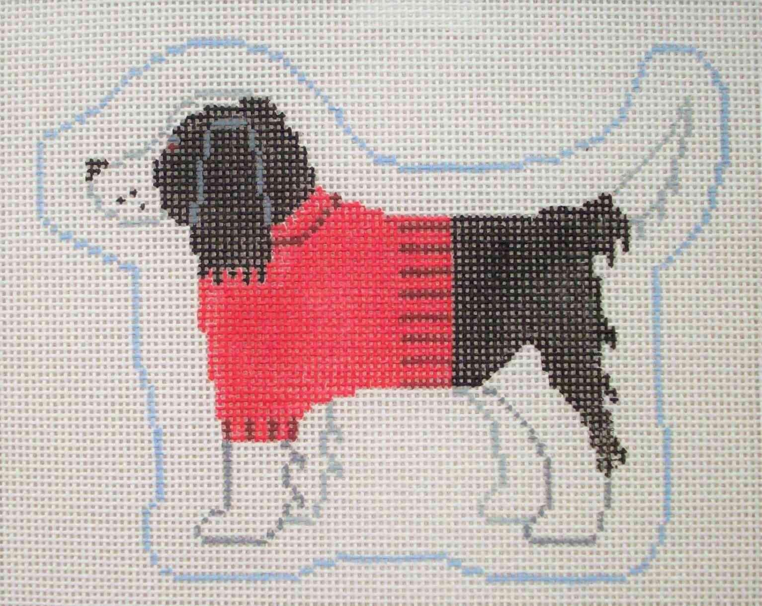 Dog Profile - Springer Spaniel