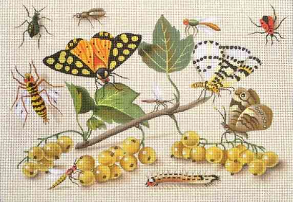 Currants & Butterflys