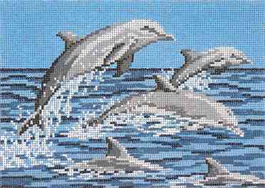 Frolicking Dolphins
