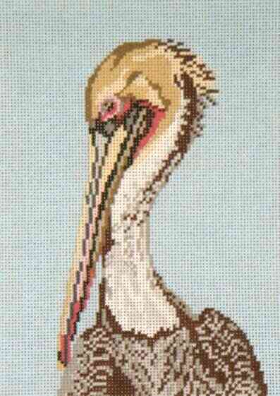 Birds - Brown Pelican Head