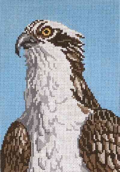 Birds - Osprey